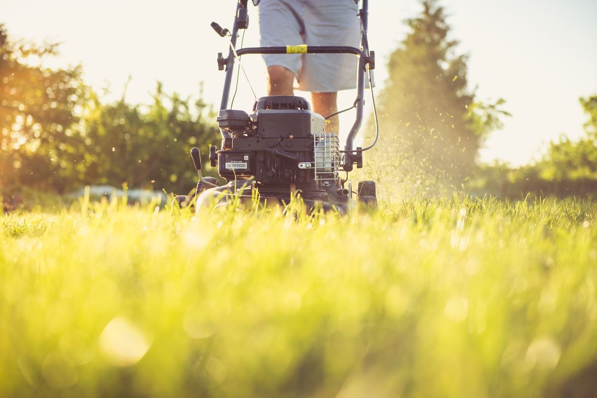 Lawn-care pro mowing a yard on a planned daily route